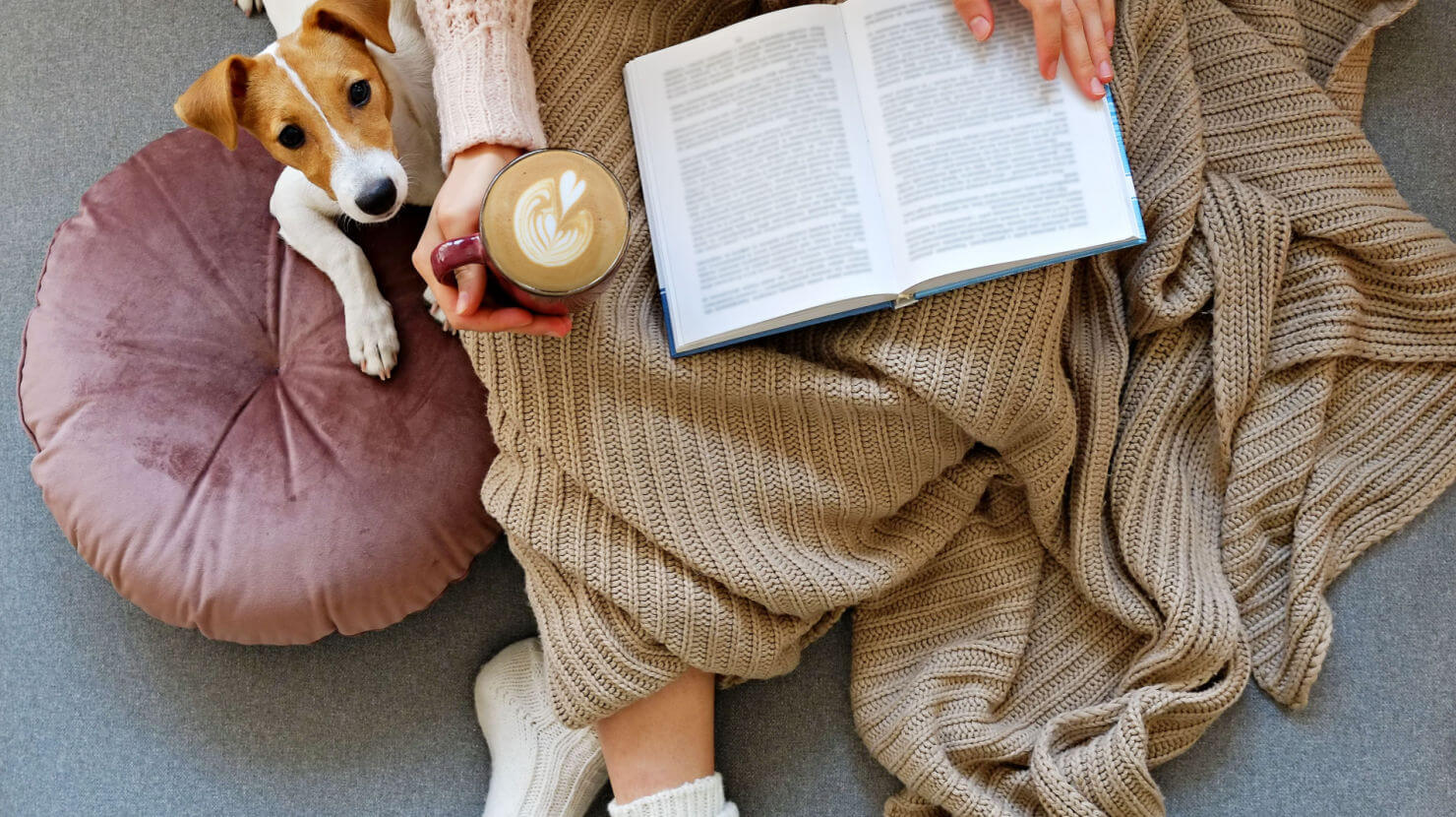 Compare Connecticut Electric Rates and Suppliers ElectricityPlans®