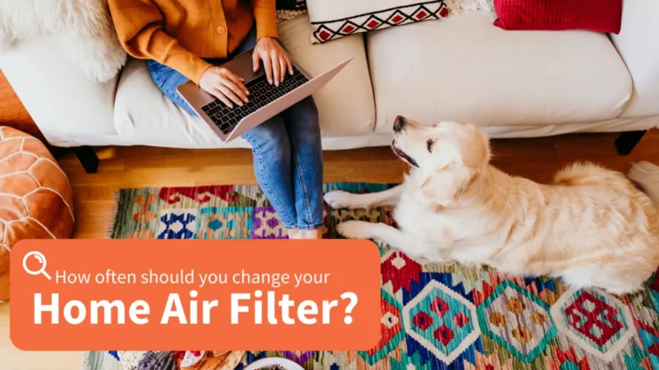 woman with dog, researching how often to change air filters