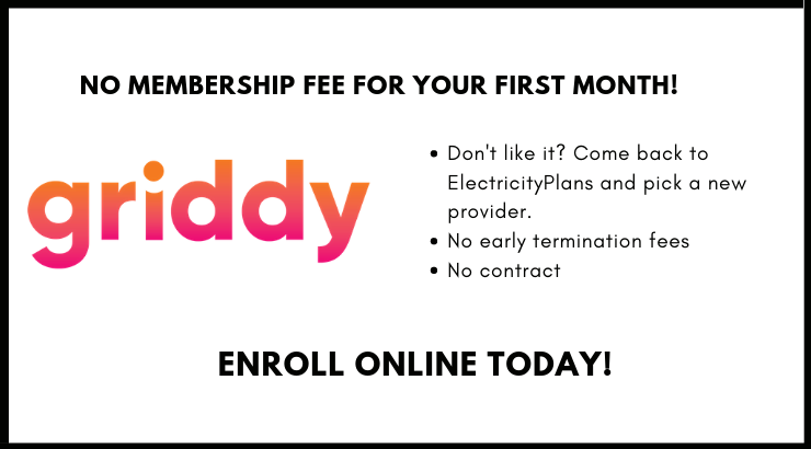 Griddy Texas Wholesale Electricity first month membership fee