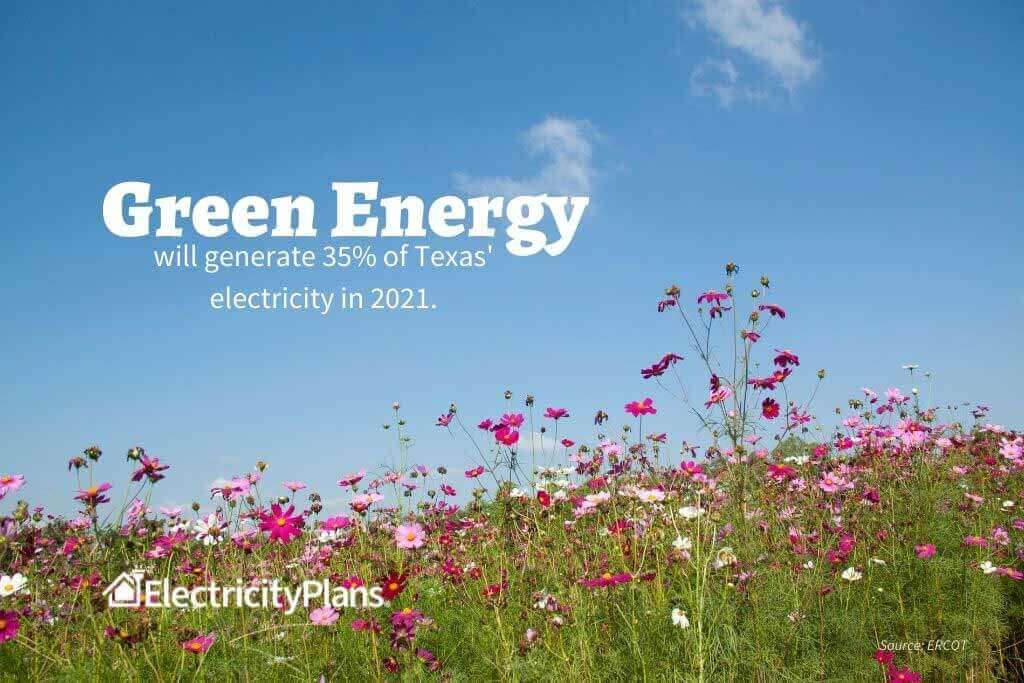 shop green energy electricity plans in texas