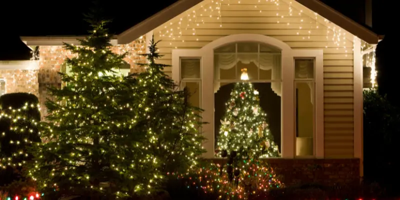 simple LED holiday lights offer a delicate touch to this white house with pine trees and a christmas tree. 