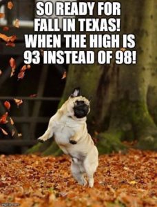 picture of dancing dog celebrating fall in texas meme