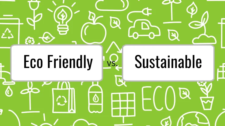 What Does Eco-Friendly Mean? Difference Between Sustainable and